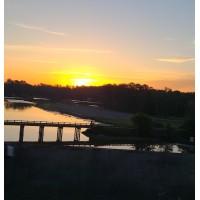 Double Time Express Logo