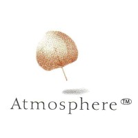 Atmosphere Airconditioning & Engineering Pte Ltd Logo