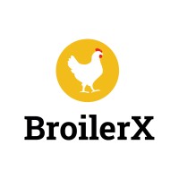 BroilerX Logo