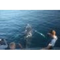 Legend Fishing Charters Logo