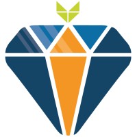 Orange Insights B.V. Logo