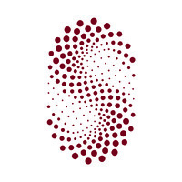 Silver Point Group Logo