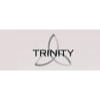 Triniti Executive Search Logo