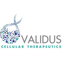 Validus Cellular Therapeutics Logo