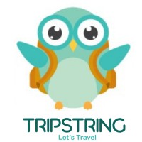 Trip String Logo