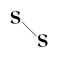 Sisters Clothing Logo