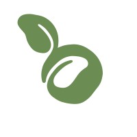 Begin Branching Out Logo