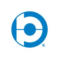 BluePex Security Solutions Logo