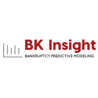 BK Insight Logo