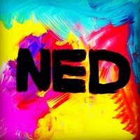 NED Logo
