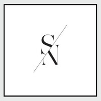 The Design Story by Natasha Singh Logo