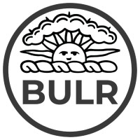 Brown Undergraduate Law Review Logo