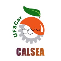 CALSEA Logo