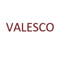 Valesco Logo
