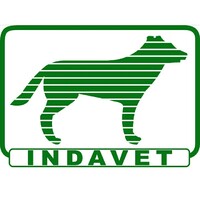 Clinica Veterinária Indavet Logo