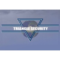 Triangle Security International Logo