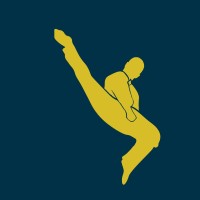 Bigak Taekkyon Academy Logo