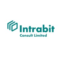 INTRABIT CONSULT LTD Logo