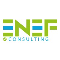 ENEF CONSULTING Logo