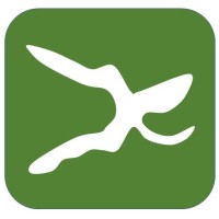 Grape Vista Logo