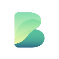 Bridgehead Consultancy Logo
