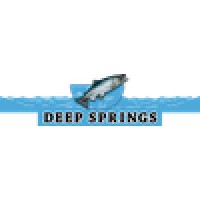 Deep Springs Trout Club Logo