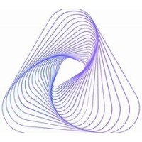 Datasoft Consulting Logo