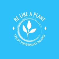 The-Healthy-Vegan Logo