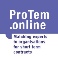 ProTem.online Logo