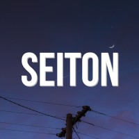 SeitonDev Logo