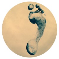 NEIKED Collective Logo