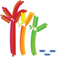 Church Of Southland Logo