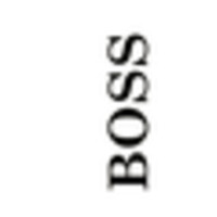 Boss The Pet Connection Logo