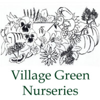 Village Green Nurseries Logo