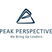 Peak Perspective Logo