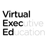 Virtual Exec Ed Logo