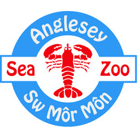 Anglesey Sea Zoo and Marine Resource Centre Limited Logo