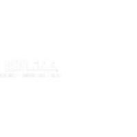 Skyline Custom Homes Logo