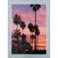 Moonlight Hair Design Logo