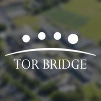 Tor Bridge Academy Trust Logo