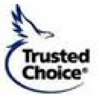 Advanced Insurance Strategies Logo