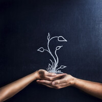 Enlightened Life Sanctuary Logo