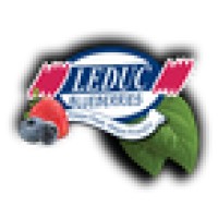 Leduc Blueberries Logo