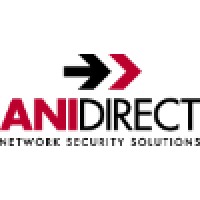 ANI Direct Network Security, LP Logo