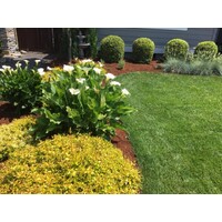 Neighborhood Lawn Care Logo