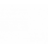 Test Company Page 2021 Logo