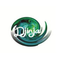 Djinja Limited Logo