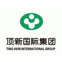 Tinghsin Intl Group Logo