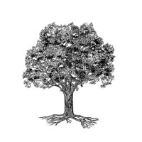 Pin Oak Investment Advisors Logo