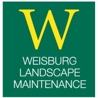 Weisburg Landscape Maintenance Logo
